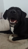 20180825_143539.jpg