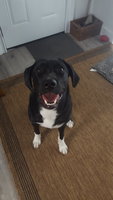 20180825_143720.jpg