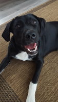 20180825_143453.jpg