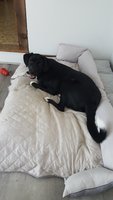 20180826_124420.jpg