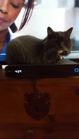 20180827_163935.jpg