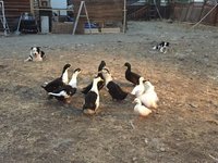 IMG_0324.JPG