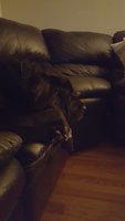 20180827_221322.jpg