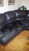 20180827_221935.jpg