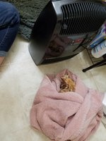 20180827_231705.jpg 20180827_231705.jpg