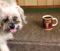 12E30F8C-2003-44AC-B0A8-36FE9A89A6D3.jpeg