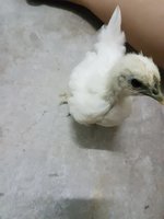 20180828_201838.jpg