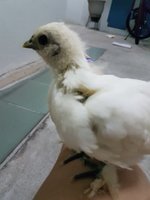 20180828_200319.jpg