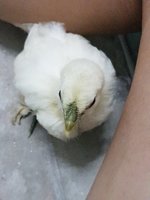 20180828_202155.jpg