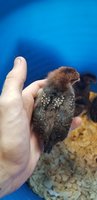 20180828_173738.jpg