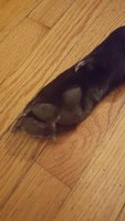 20180828_181720.jpg