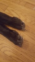 20180828_181732.jpg