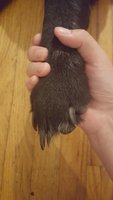 20180828_181838.jpg