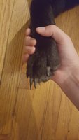 20180828_181843.jpg