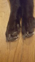 20180828_181907.jpg