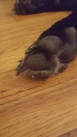 20180828_181915.jpg