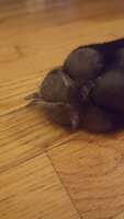 20180828_181921.jpg
