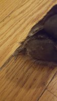 20180828_181930.jpg