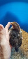 20180828_173133.jpg