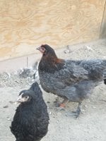 20180827_175620.jpg