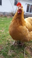 20180420_185102.jpg