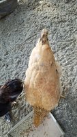 20180829_081906.jpg