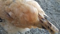 20180829_081857.jpg