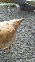 20180829_081845.jpg