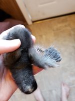 20180829_120224.jpg