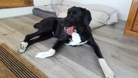 20180829_131021.jpg 20180829_131021.jpg