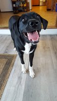 20180829_130930.jpg 20180829_130930.jpg
