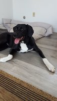 20180829_131010.jpg 20180829_131010.jpg