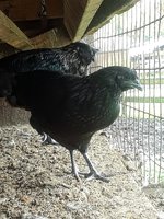20180829_125329.jpg