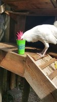 VideoCapture_20180829-223038.jpg