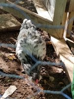 20180830_090729.jpg