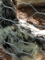 20180830_090617.jpg