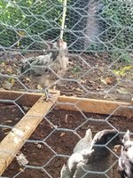 20180830_090219.jpg
