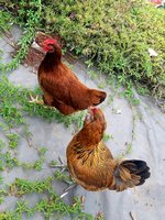 20180826_180934.jpg