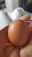 20180827_080228.jpg