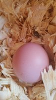 20180828_093504.jpg