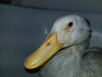20180830_195942.jpg