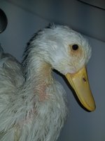 20180830_195834.jpg