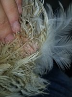 20180830_195902.jpg