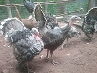 20180819_153123.jpg