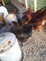 20180830_065338.jpg