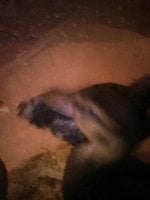JPEG_20180830_225742_-1102564817.jpg