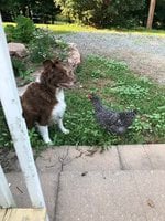 B664918F-F731-46FC-B42F-1D0B0479F378.jpeg