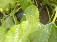 DSCN0831.JPG