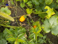 DSCN0832.JPG