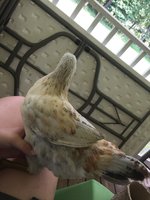 IMG_2392.jpg